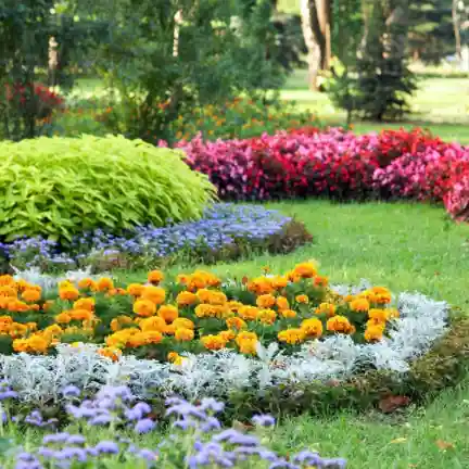 North Carolina - GH LANDSCAPING AND CONSTRUCTION
