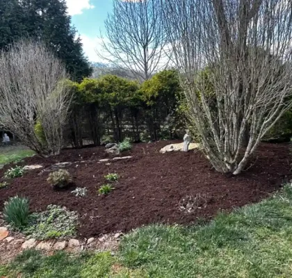 Land Clearing - North Carolina - GH LANDSCAPING AND CONSTRUCTION