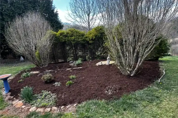 Land Clearing - North Carolina - GH LANDSCAPING AND CONSTRUCTION