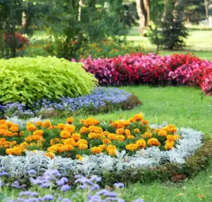 North Carolina - GH LANDSCAPING AND CONSTRUCTION