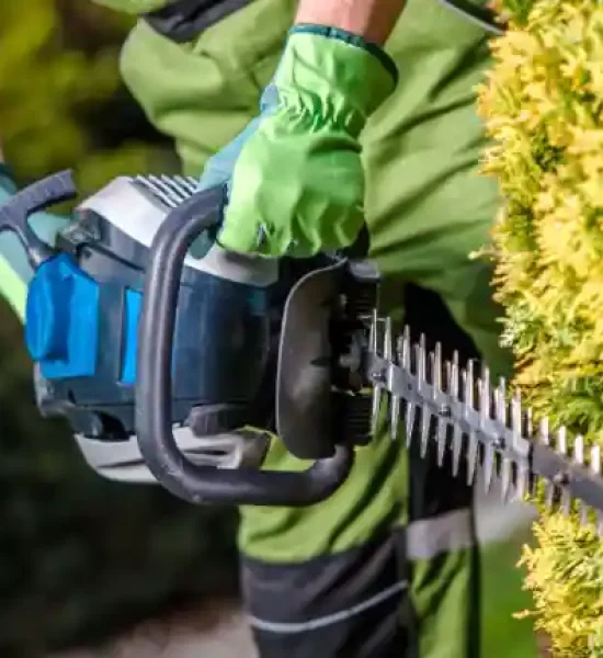 Services GH Landscaping and Construction